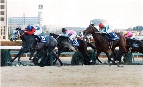 2002 馬|有馬記念｜2002年12月22日